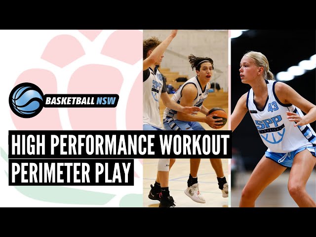 High Performance Workout - Perimeter Player