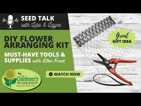 Seed Talk #14