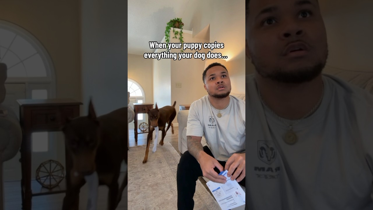 The definition of double trouble … 