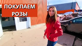 видео: ПОКУПАЕМ ЕЩЕ РОЗЫ/ ДЕШЕВЫЙ магазин с товарами для сада/ Цены на туры расстраивают/ Нижний Новгород картинка: ПОКУПАЕМ ЕЩЕ РОЗЫ/ ДЕШЕВЫЙ магазин с товарами для сада/ Цены на туры расстраивают/ Нижний Новгород
