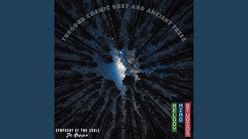 Thumbnail of Through cosmic Dust and Ancient Trees