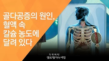 골다공증의 원인, 혈액 속 칼슘 농도에 달려 있다 - (2010.7.1_336회 방송)_뼈의 경고, 칼슘을 흡수하라!