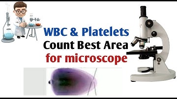 Platelets & wbc under microscope I wbc & platelets count