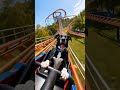 AI Max on a roller coaster - just because! #dogshorts #funnydogvideos #dogonarollercoaster #aidog