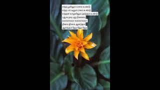         shorts songs janaki  melody