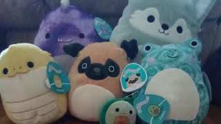 Wednesday squishmallows
