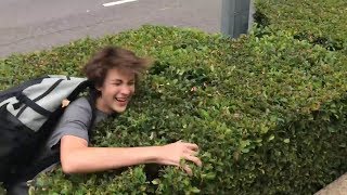 Silly Salmon And Flips