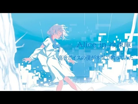 「Alice in 冷凍庫」／高音ボイスの僕が本気で歌ってみた(無加工)
