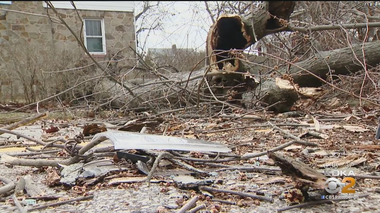 Pittsburgh Weather: High Winds Cause Significant Damage Throughout ...