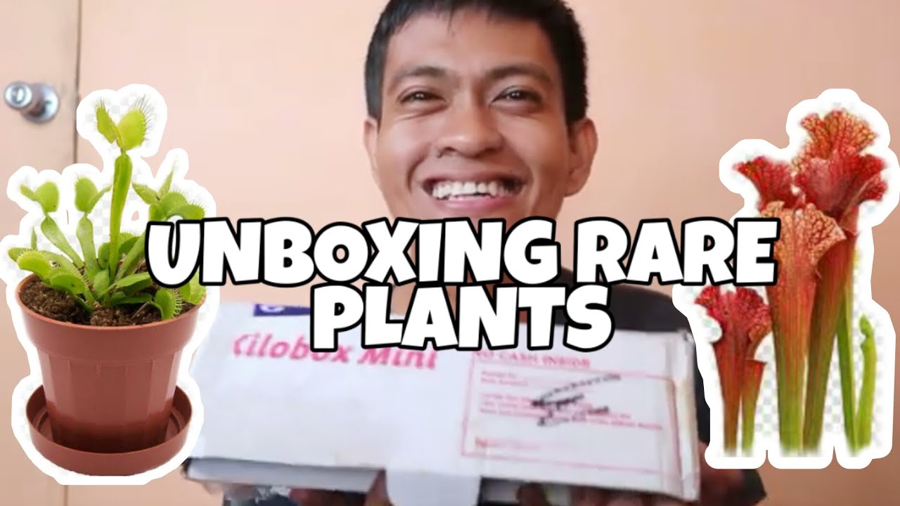 UNBOXING RARE PLANTS YouTube
