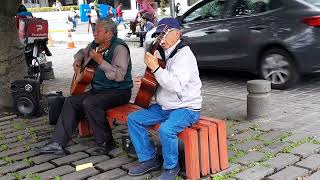 MUSICOS DE LA CALLE #respect #art #klassic #quito #ecuador #viral