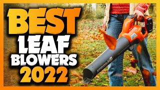Best Leaf Blower You Need To Buy In 2022