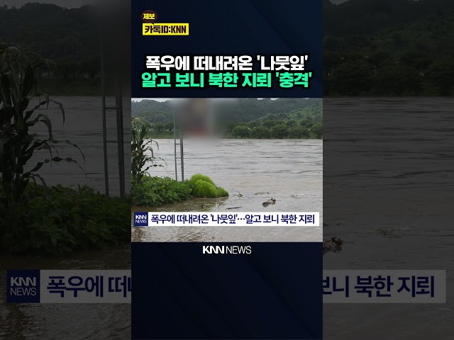"나뭇잎인 줄 알았는데 지뢰였다" 폭우 타고 떠내려온 북한 지뢰 / KNN