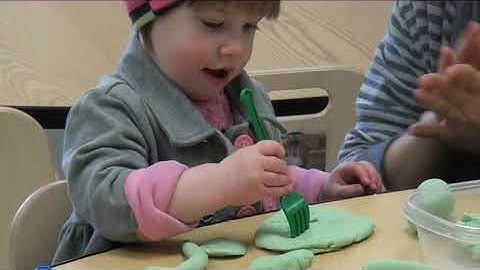 Clearing Your View   Staying Objective in Observation