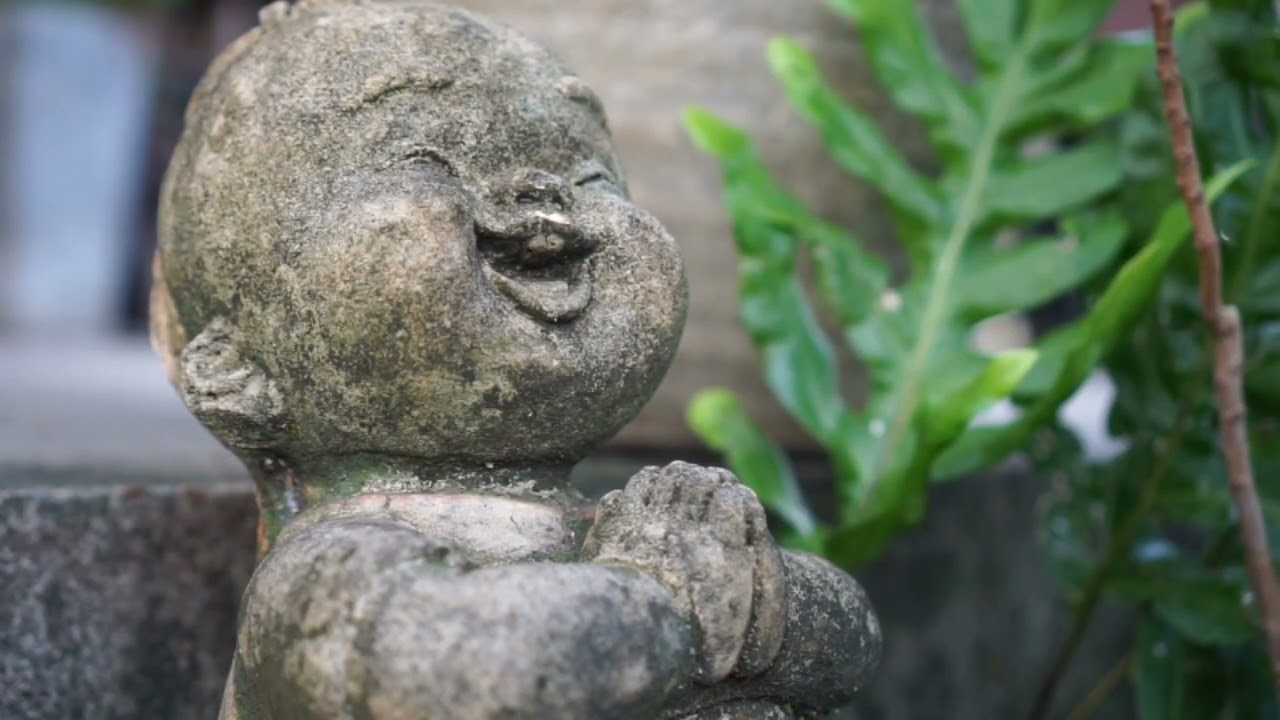 วังน้ำเขียว @เดิน ดิน ดู ดาว รีสอร์ท