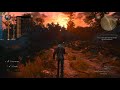 Xeon e5 2640 v3 + PlexHD X99 + GTX 1070 8gb The witcher Wild Hunt