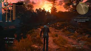 Xeon e5 2640 v3 + PlexHD X99 + GTX 1070 8gb The witcher Wild Hunt