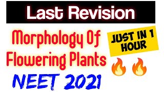 "Morphology Of Flowering Plants"In Just 1 Hour🔥🔥| Neet 2021: Final Revision