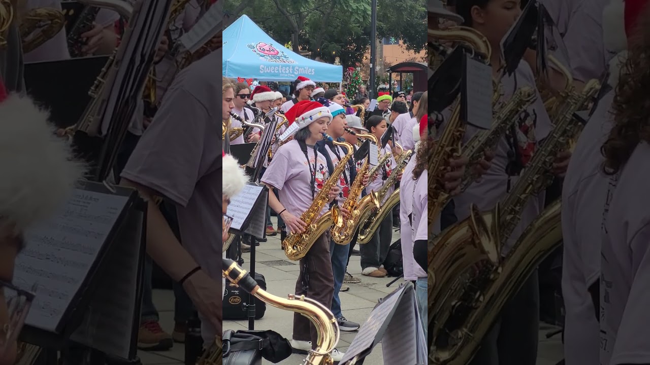 Touro, Louro, Louro, Xmas in the Park, 12/20/25