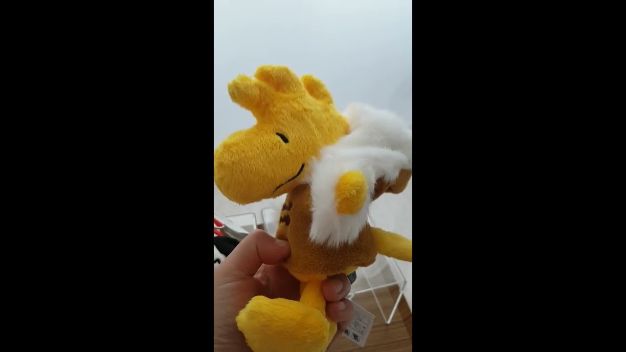 Snoopy Peanuts Charlie Brown Woodstock Plush Toy Review from Japan