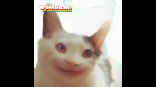 Capone the cat 'Nyan cat' Wombo ai