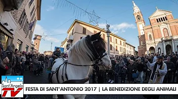 Quando è la benedizione degli animali?