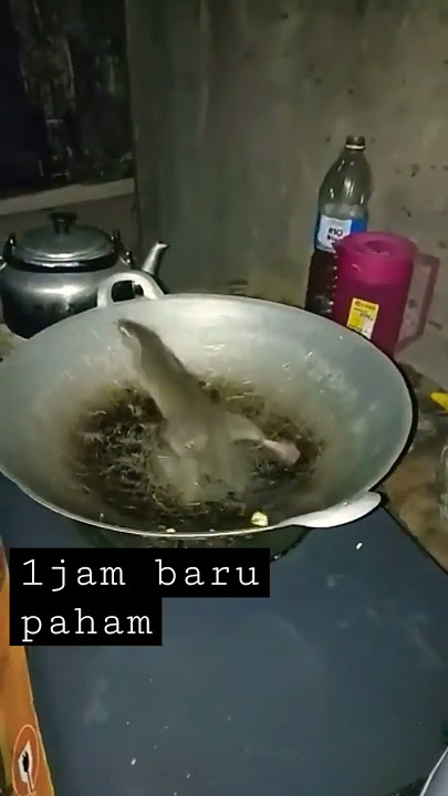 fried mouse alias tikus goreng😣😣😂