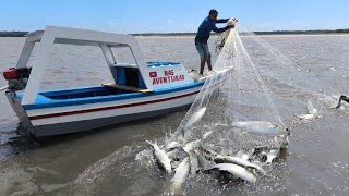 A CERTAMOS um grande CARDUMES de PEIXES @nasaventuras #youtube #fish 