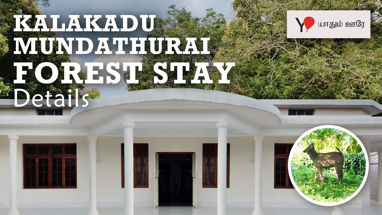 Kalakad Mundanthurai FOREST STAY EB bungalow Papanasam