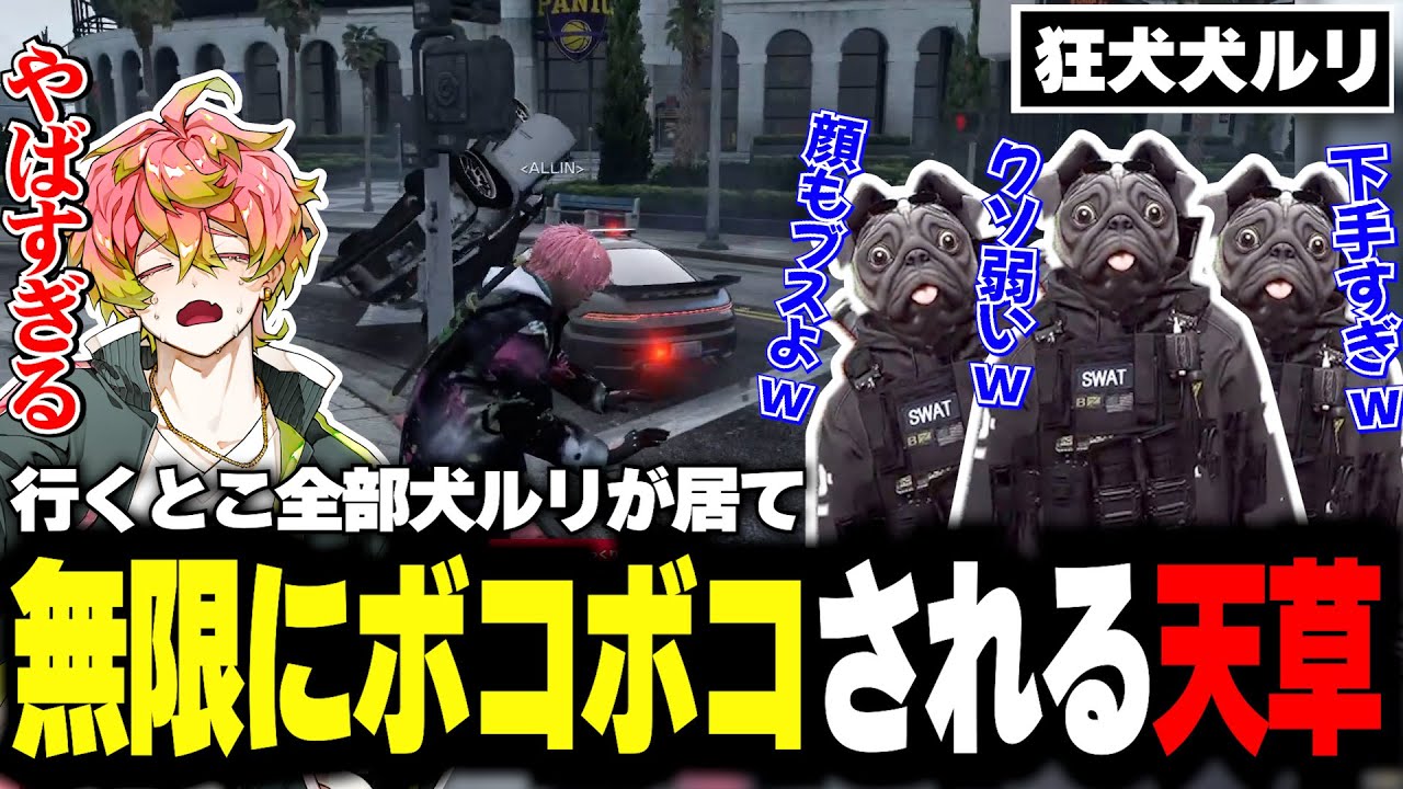 【#ストグラ】会う度に犬ルリにボコボコにされる天草が不憫でワロタｗｗ【切り抜き】【#ALLIN】【天草 蒼/犬ルリ】