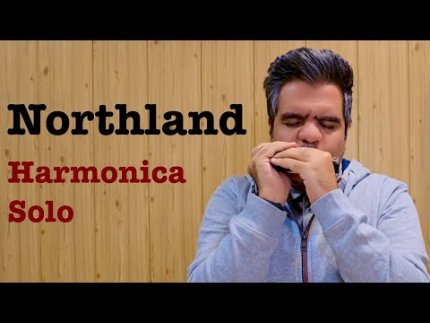    از سرزمین شمالی سازدهنی