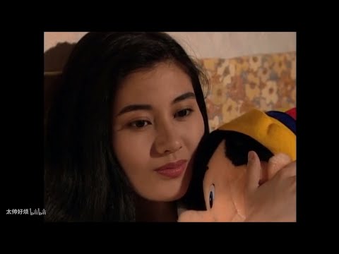 Video NHỮNG LỜI DỐI GIAN - Lưu Đức Hoa (Andy Lau) / Lý Gia... - youtube