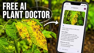How to Use Google Gemini for Gardening: Plant Diagnosis and Care