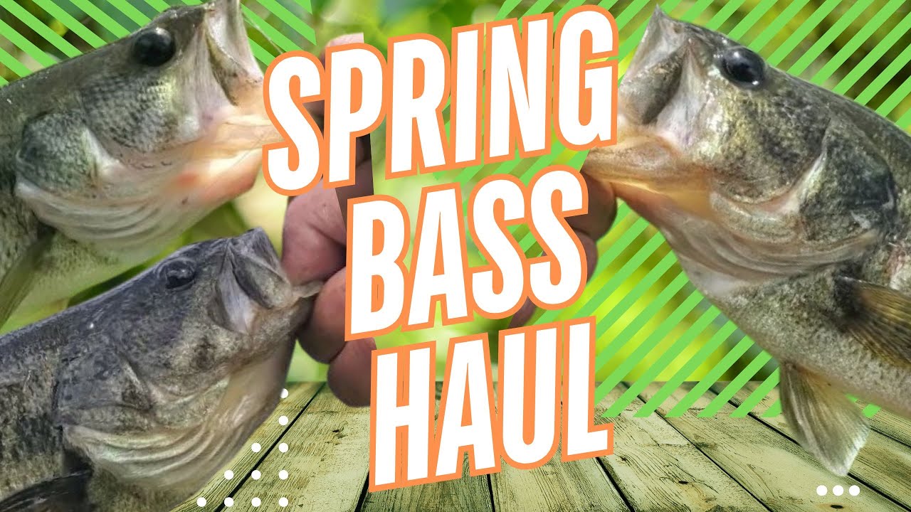 Easy Spring Bass Fishing on Shiners and Gulp Minnows