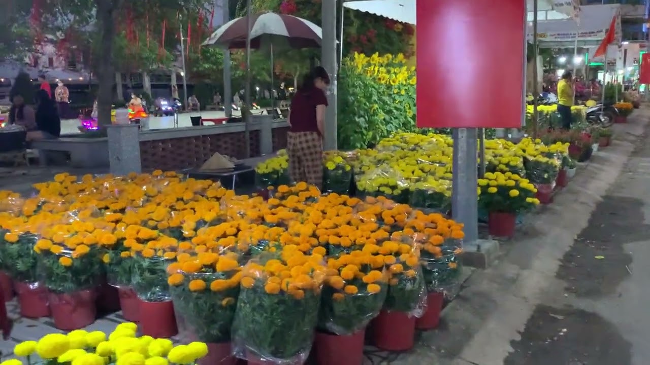 Chiều 25 tết dạo một vòng chợ hoa Vũng liêm 