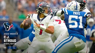 The Stroud goes WILD!!!! Wealth