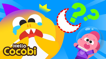 Where Is My Tail? Find Shark