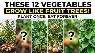 Forget Seed Trays: 12 Survival Plants That Will Feed You for Decades From One Planting