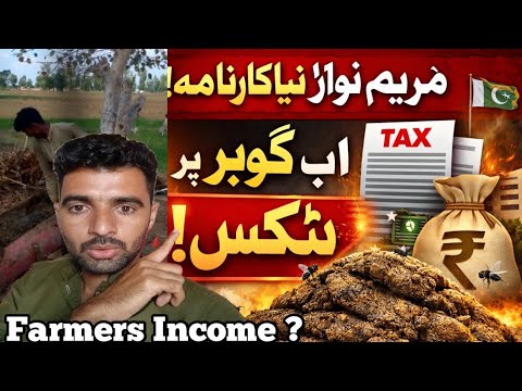 Gobar Tax Kya Hai ? Murtaza Village Life 