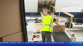 Organizations In South Florida Gathering Supplies To Help Haiti