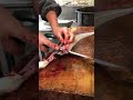 うなぎの捌き方 うな萩 鰻 eel belut Anguila