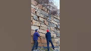 High Wall Weed Trimming: Workers Use Long Pole to Clear Weeds Efficiently!