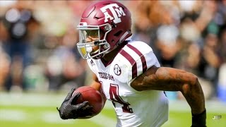 Hardest Hitting Safety in The SEC || Texas A&M Safety Justin Evans Career Highlights ᴴᴰ