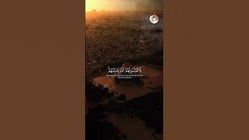 وأعدوا لهم ما استطعتم من قوة|تلاوة خاشعة //بصوت صالح اليافعي 🎧أرح قلبك المتعب قليلاً🫀🌿