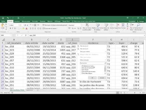 Comment Filtrer Dans Excel En 2 Méthodes