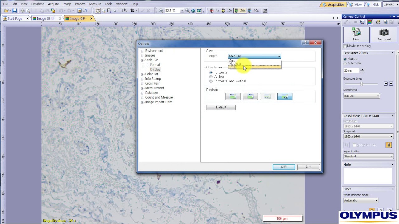 Cellsens Entry 1 15 View Menu Scale Bar Info Stamp Cross Hair Youtube