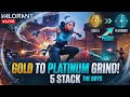 Valorant! Live Gold To Platinum | Iconic Plays | 5 Stack!