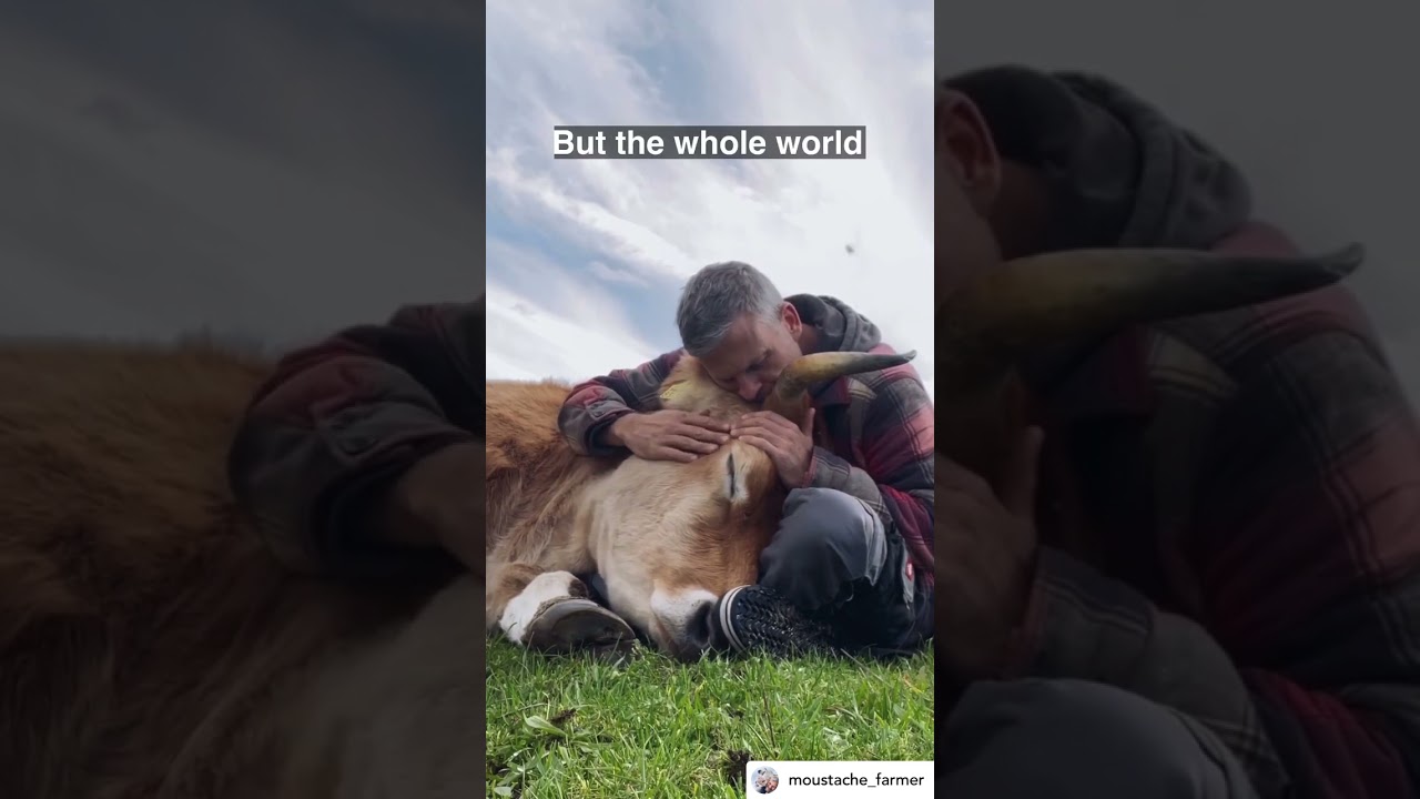 Change Someone’s World ❤️