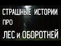 СТРАШНЫЕ ИСТОРИИ НА НОЧЬ / СТРАШНЫЕ ИСТОРИИ ПРО ДЕРЕВНЮ / СТРАШНЫЕ ИСТОРИИ ПРО ВЕДЬМ