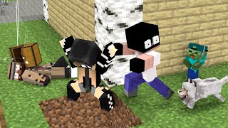 Monster School : Baby Zombie and 3 Silly Thieves (Home Alone) - Minecraft Animation